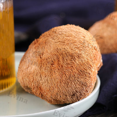 胃茶 潰瘍回復と成人における胃腸粘膜の保護