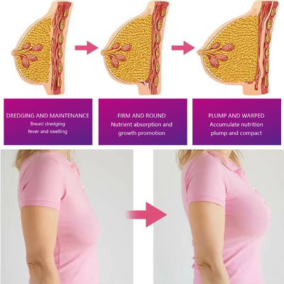 パパイア 乳房 味 お茶 乳房 増殖 急速 な 成長 固まる 保存 期間 24ヶ月