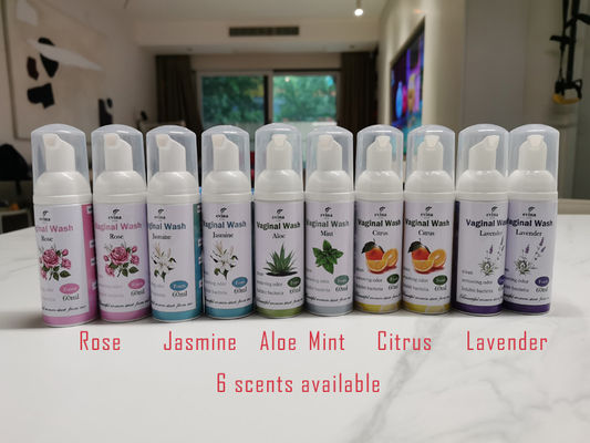 天然薬草 植物性陰道浄化洗浄剤 日常 PH バランス 涼しい感覚